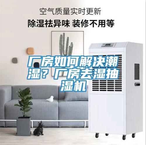 厂房如何解决潮湿？厂房去湿抽湿机
