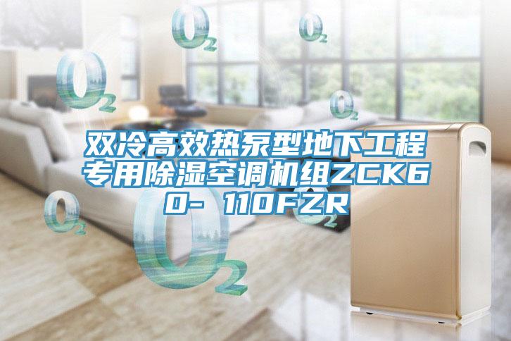 双冷高效热泵型地下工程专用除湿空调机组ZCK60- 110FZR