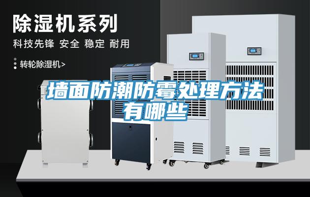 墙面防潮防霉处理方法有哪些