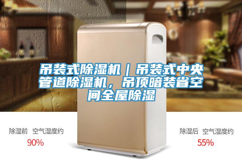 吊装式除湿机｜吊装式中央管道除湿机，吊顶暗装省空间全屋除湿