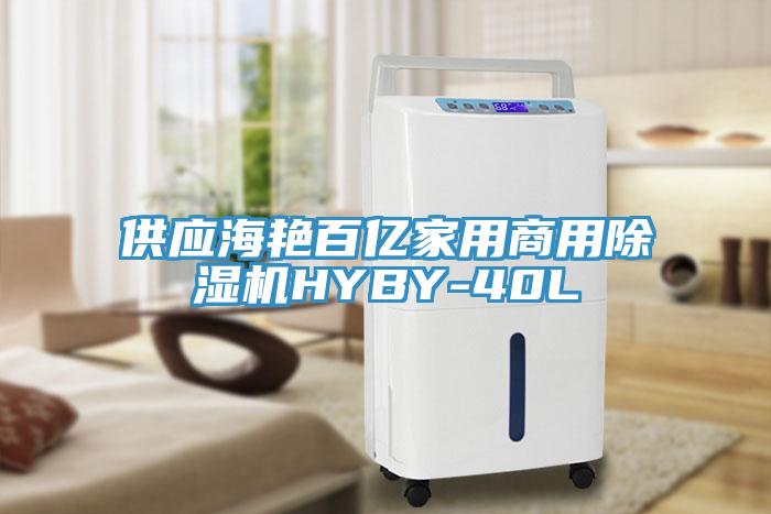 供应海艳百亿家用商用除湿机HYBY-40L