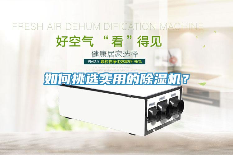 如何挑选实用的除湿机？