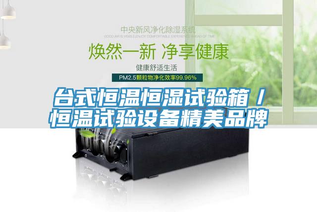 台式恒温恒湿试验箱／恒温试验设备精美品牌