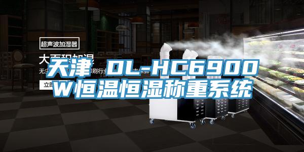 天津 DL-HC6900W恒温恒湿称重系统