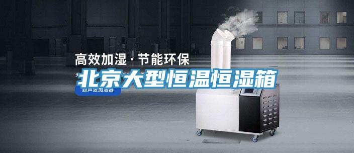 北京大型恒温恒湿箱