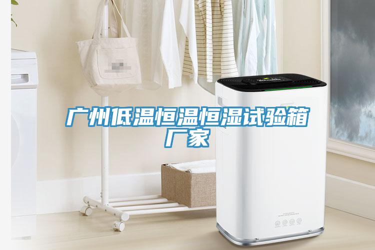 广州低温恒温恒湿试验箱厂家