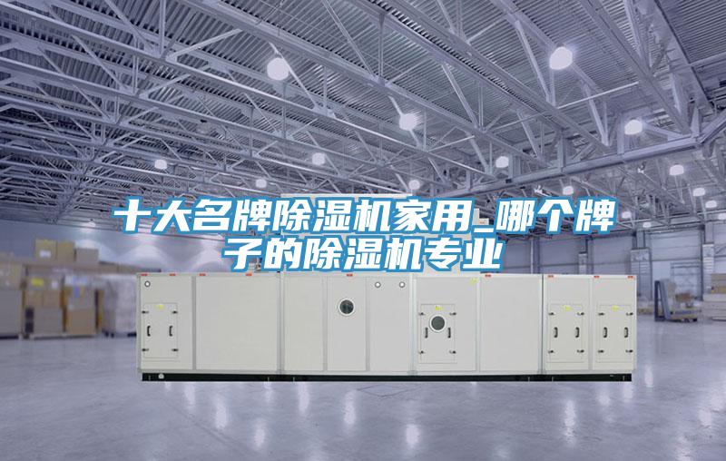 十大名牌除湿机家用_哪个牌子的除湿机专业