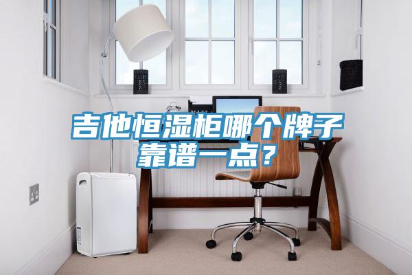吉他恒湿柜哪个牌子靠谱一点？