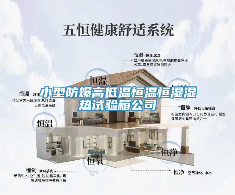 小型防爆高低温恒温恒湿湿热试验箱公司