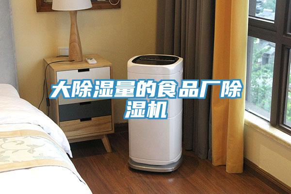 大除湿量的食品厂除湿机