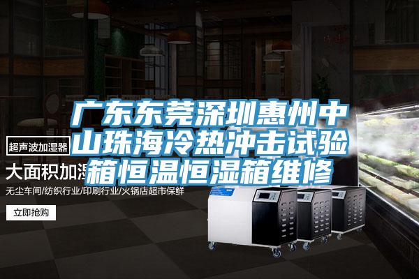 广东东莞深圳惠州中山珠海冷热冲击试验箱恒温恒湿箱维修