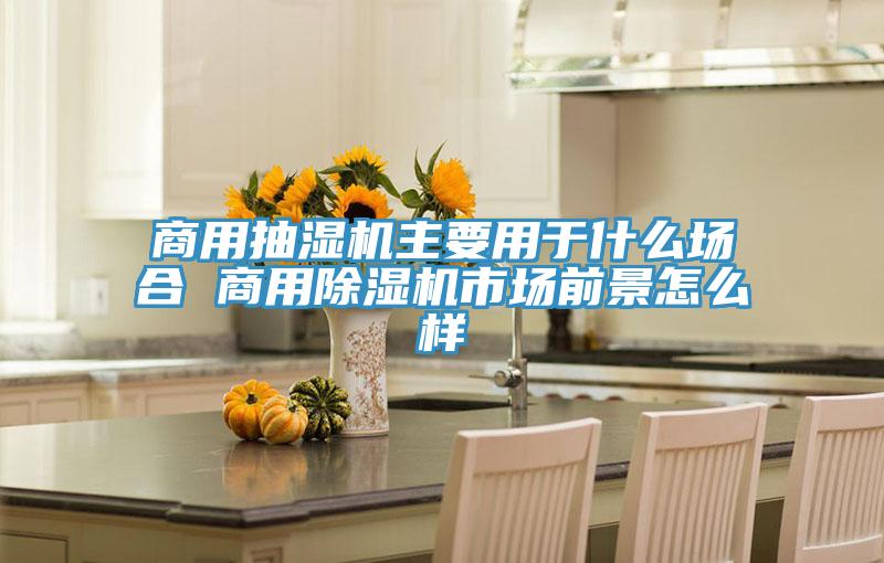 商用抽湿机主要用于什么场合 商用除湿机市场前景怎么样