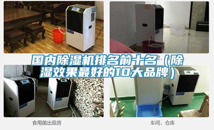 国内除湿机排名前十名（除湿效果最好的10大品牌）