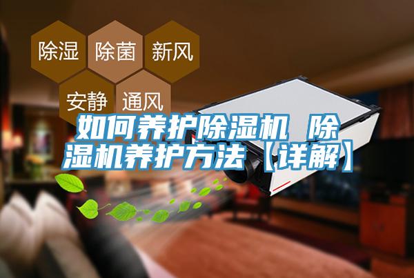 如何养护除湿机 除湿机养护方法【详解】