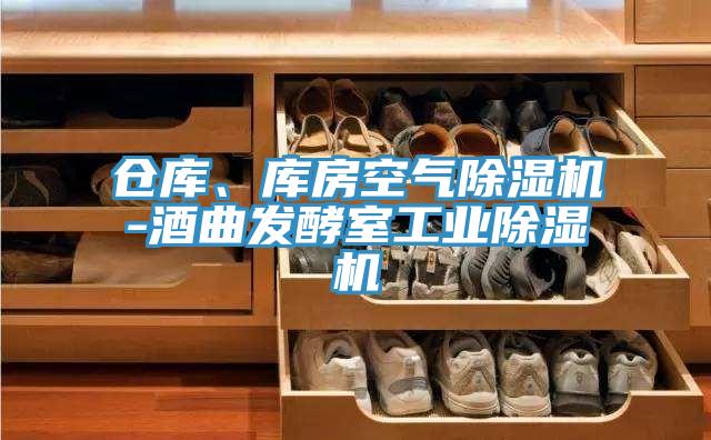 仓库、库房空气除湿机-酒曲发酵室工业除湿机