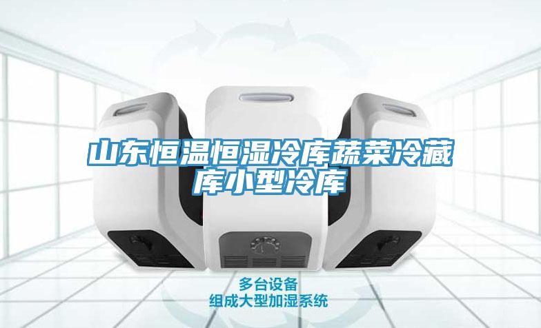山东恒温恒湿冷库蔬菜冷藏库小型冷库