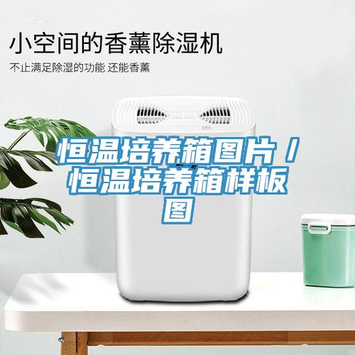 恒温培养箱图片／恒温培养箱样板图