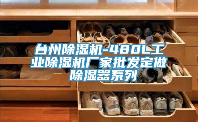 台州除湿机-480L工业除湿机厂家批发定做 除湿器系列