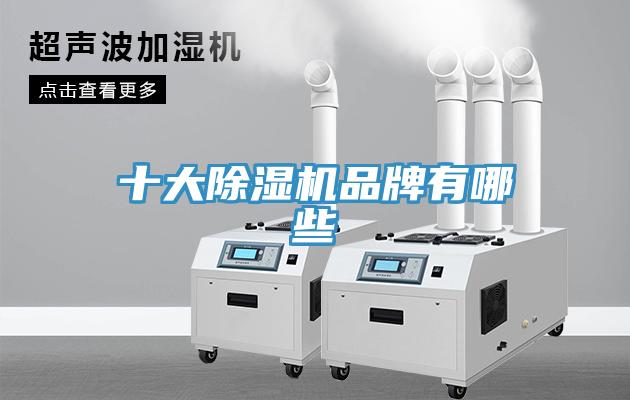 十大除湿机品牌有哪些