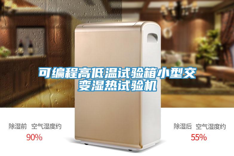 可编程高低温试验箱小型交变湿热试验机