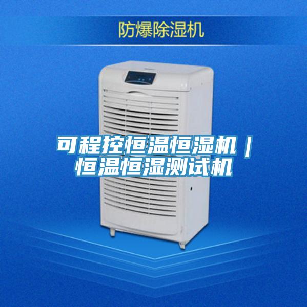 可程控恒温恒湿机｜恒温恒湿测试机