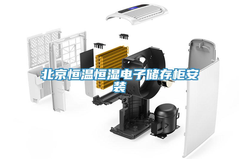 北京恒温恒湿电子储存柜安装
