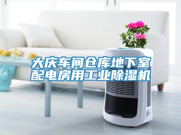 大庆车间仓库地下室配电房用工业除湿机