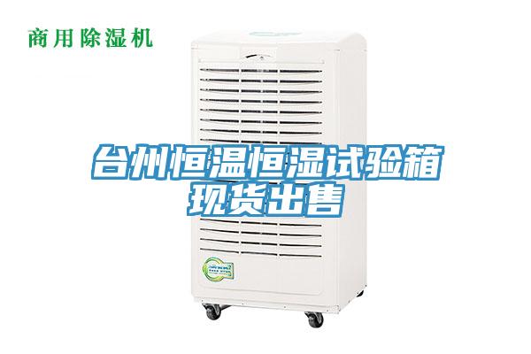 台州恒温恒湿试验箱现货出售
