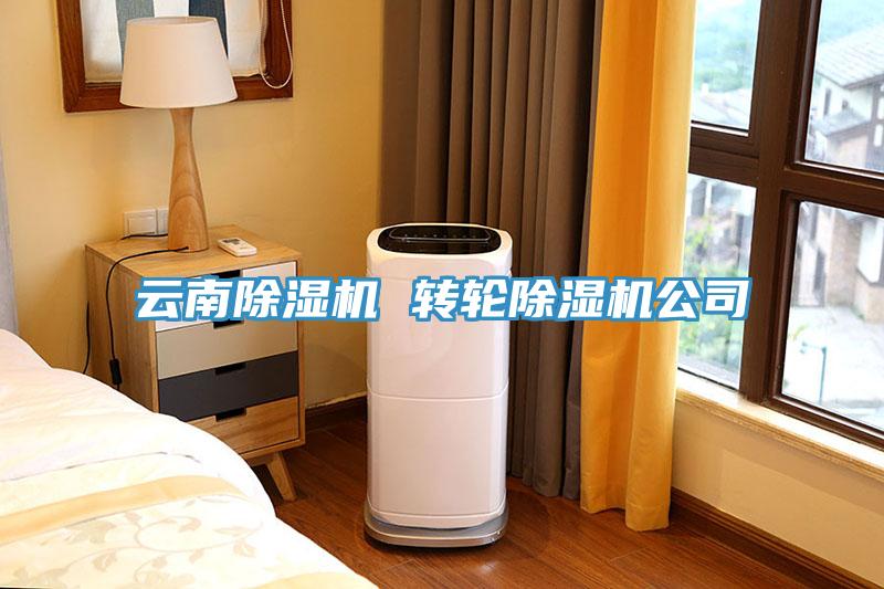云南除湿机 转轮除湿机公司