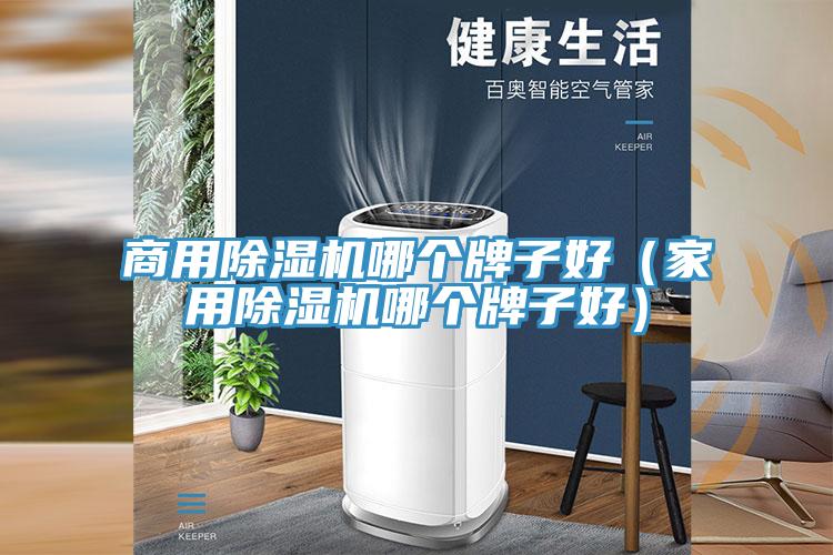 商用除湿机哪个牌子好（家用除湿机哪个牌子好）