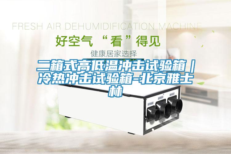 二箱式高低温冲击试验箱｜冷热冲击试验箱-北京雅士林