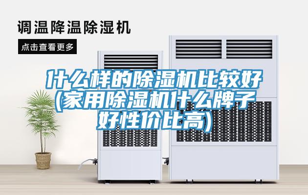 什么样的除湿机比较好(家用除湿机什么牌子好性价比高)
