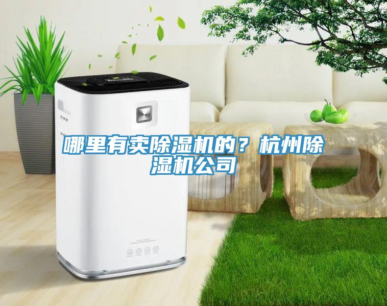 哪里有卖除湿机的？杭州除湿机公司