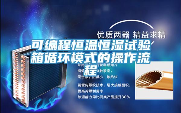 可编程恒温恒湿试验箱循环模式的操作流程