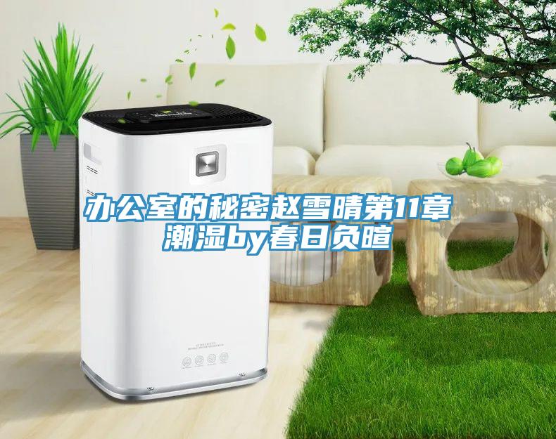 办公室的秘密赵雪晴第11章 潮湿by春日负暄