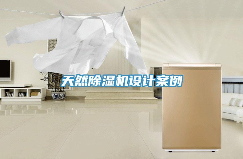 天然除湿机设计案例