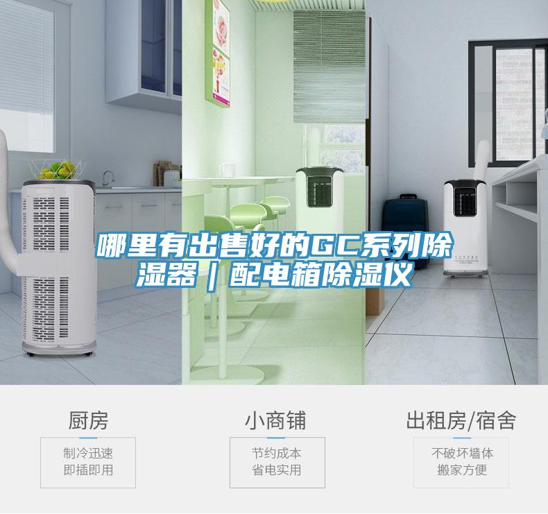 哪里有出售好的GC系列除湿器｜配电箱除湿仪