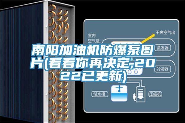 南阳加油机防爆泵图片(看看你再决定,2022已更新)