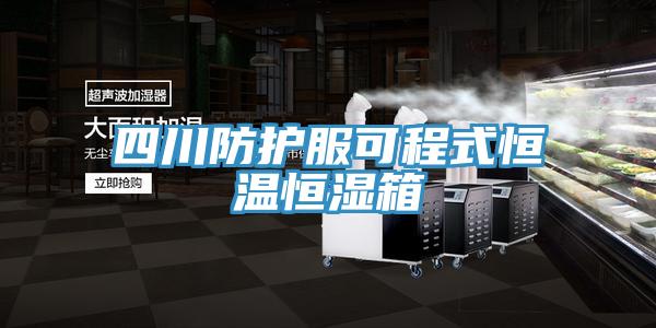 四川防护服可程式恒温恒湿箱