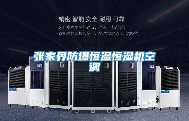 张家界防爆恒温恒湿机空调