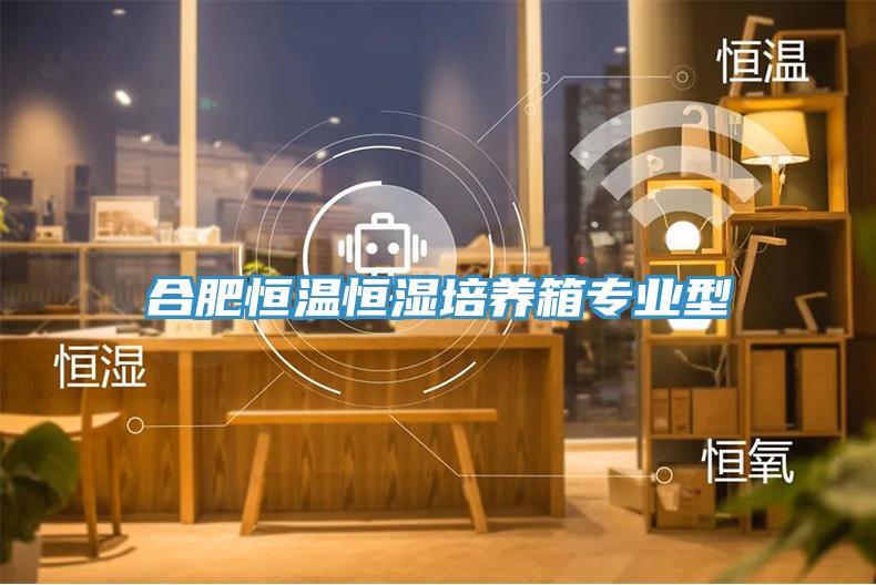 合肥恒温恒湿培养箱专业型