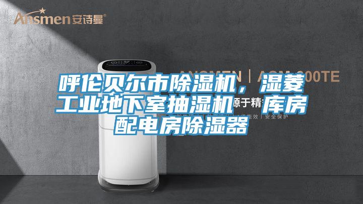 呼伦贝尔市除湿机，湿菱工业地下室抽湿机  库房配电房除湿器