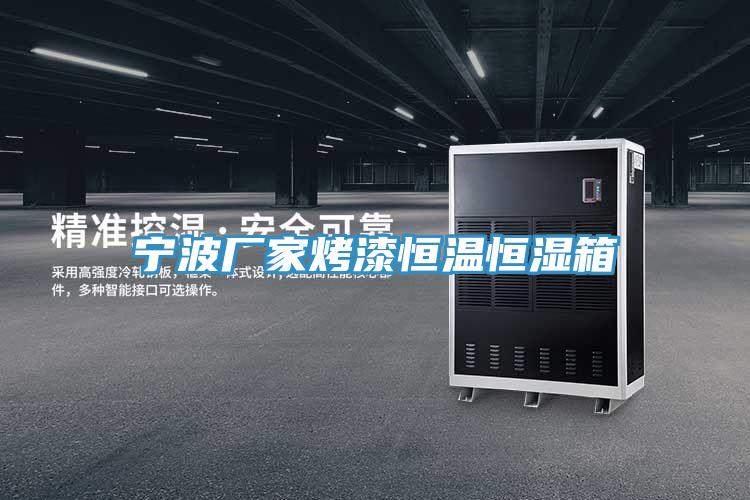 宁波厂家烤漆恒温恒湿箱