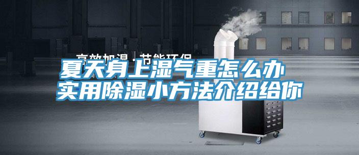 夏天身上湿气重怎么办 实用除湿小方法介绍给你