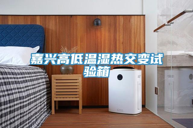 嘉兴高低温湿热交变试验箱