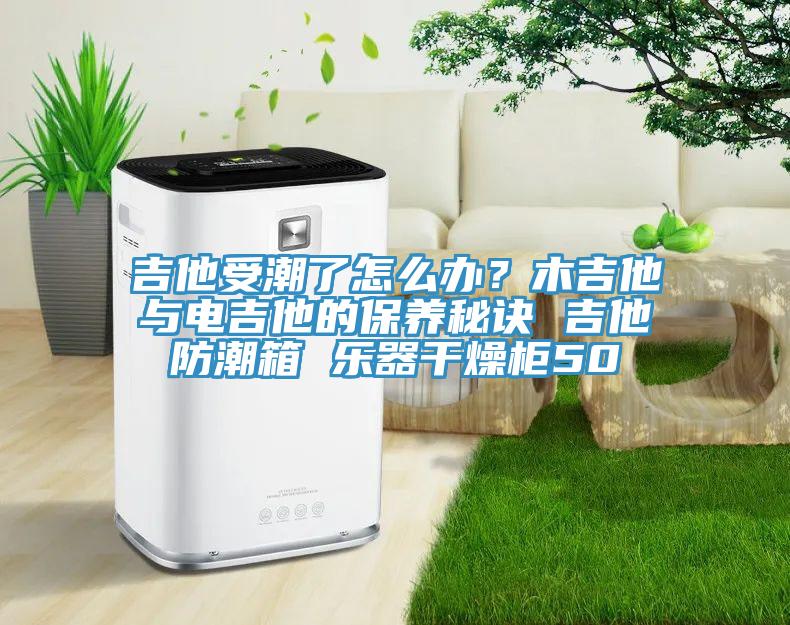 吉他受潮了怎么办？木吉他与电吉他的保养秘诀 吉他防潮箱 乐器干燥柜50