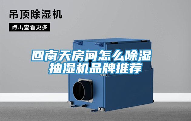 回南天房间怎么除湿 抽湿机品牌推荐