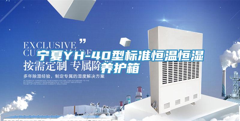 宁夏YH-40型标准恒温恒湿养护箱