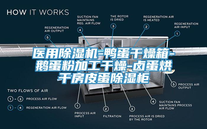医用除湿机-鸭蛋干燥箱-鹅蛋粉加工干燥-卤蛋烘干房皮蛋除湿柜