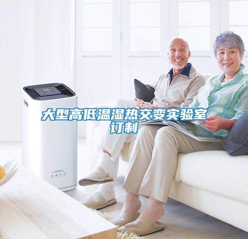 大型高低温湿热交变实验室订制